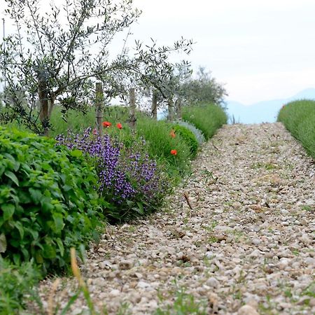 Agriturismo2Laghi Ponti sul Mincio Eksteriør bilde